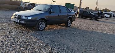 beta ff: Volkswagen Passat: 1996 г., 1.6 л, Газ, Седан — 6