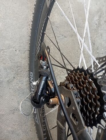 Şəhər velosipedləri: Problemi var ikidənən kask hədiyyə verilir qiymət 180 asaxi yeri — 9