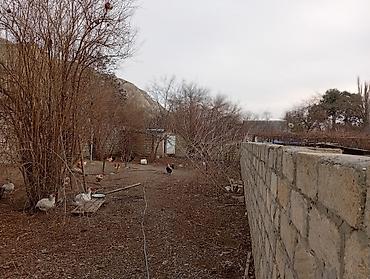дачи в баку аренда: Мингечевир, 100 м², 3 комнаты, Канализация, Комби, Газ — 8
