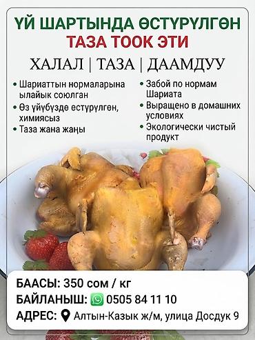 Халал куриное мясо, выращенное в домашних условиях без химии