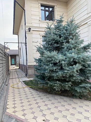 7 небо авангард: Просторный дом с благоустроенным участком. - Архитектура: двухэтажный — 5