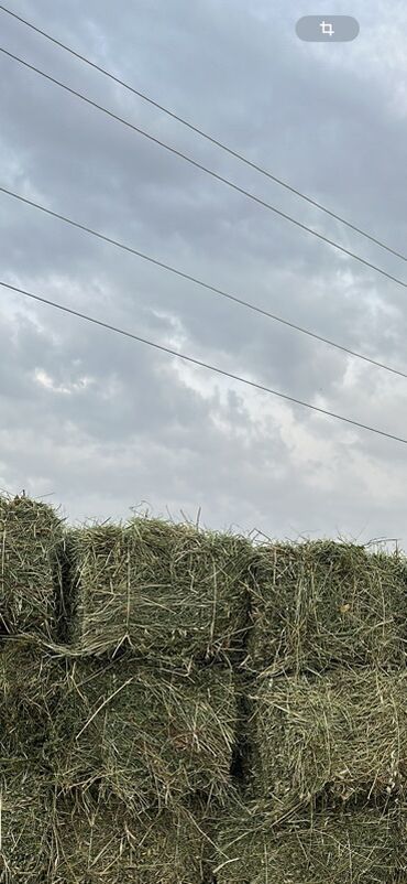 мука элдан: Куплю тюки