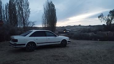 Audi: Audi 100: 1991 г., 2.3 л, Механика, Бензин, Седан — 2