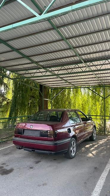 полики на changan: Volkswagen Vento: 1992 г., Седан — 3
