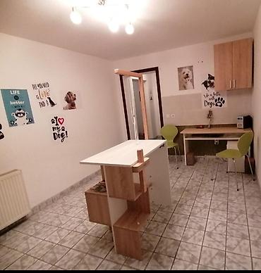 ormari yisk: Profesionalni sto za šišanje i uređivanje pasa - Stabilan radni sto — 2