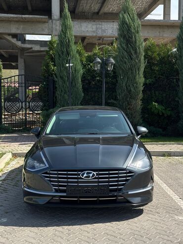 соната д8: Hyundai Sonata: 2020 г., 2 л, Автомат, Газ, Седан