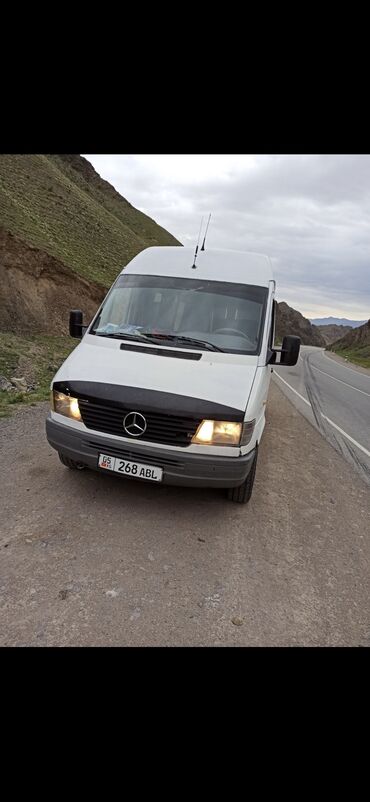 Легкий грузовой транспорт: Легкий грузовик, Mercedes-Benz, Стандарт, 3 т, Б/у