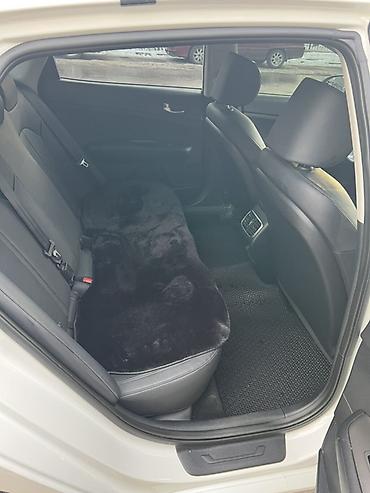 Kia: Kia K5: 2018 г., 2 л, Автомат, Газ, Седан — 7