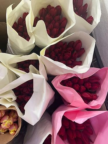 Букеты из живых цветов: Тюльпаны в крафт-упаковке - Срезанные тюльпаны с плотным бутоном — 7