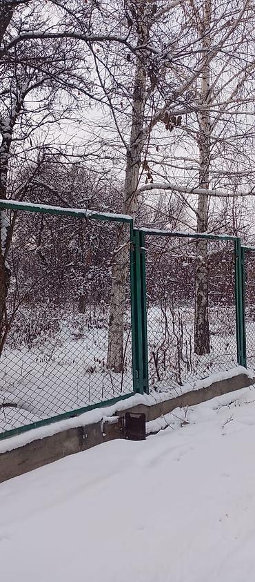 выход к речке: 6 соток, Красная книга — 4