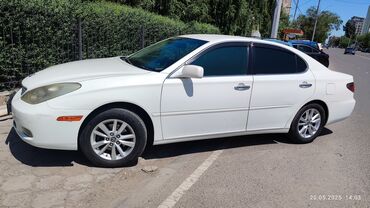 тойота сена: Toyota Windom: 2002 г., 3 л, Автомат, Газ, Седан