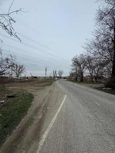 Продажа участков: 430 соток, Для сельского хозяйства, Договор купли-продажи — 4