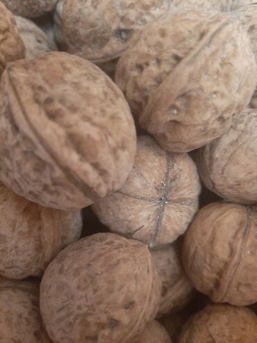 кур несушки: Продаю орехи гредскии 1кг
