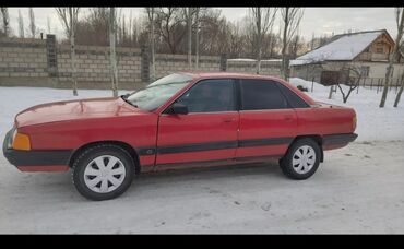 Audi: Audi 100: 1989 г., 1.8 л, Механика, Бензин, Седан