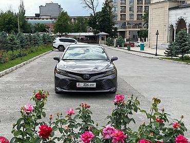 Toyota: Toyota Camry: 2019 г., 2.5 л, Вариатор, Гибрид, Седан — 3