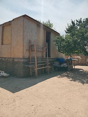 Долгосрочная аренда комнат: Кунтуу дача-мечта 1. возле дороги очень прохладно летом в жару,нет — 8