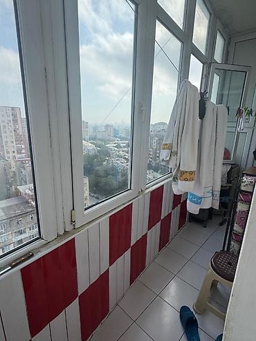 cepis satisi: 1-ci mikrorayon, 1 otaqlı, Yeni tikili, 60 kv. m — 8