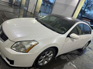 белый nissan: Nissan Maxima: 2006 г., 3.5 л, Вариатор, Бензин, Седан