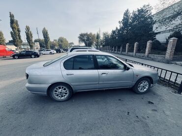 рулевые рейки ниссан примера: Nissan Primera: 2001 г., Механика, Бензин, Седан