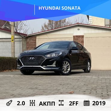 Hyundai: Hyundai Sonata: 2019 г., 2 л, Автомат, Газ, Седан — 1