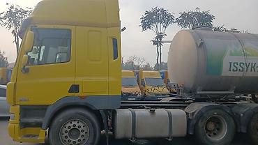 beta ff: Тягач, DAF, 2010 г., Цистерна — 4
