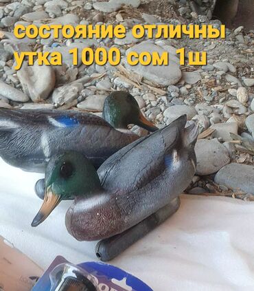 фасадные отделочные материалы бишкек: Үй жана бакча үчүн ыңгайлуулуктар, Өзү алып кетүү, Акысыз жеткирүү, Акылуу жеткирүү
