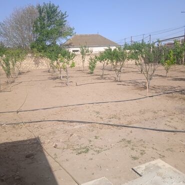 Suvarma sistemləri: Система полива с интернетом или автоматически для газона и деревьев — 2