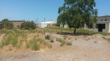 Torpaq sahələrinin satışı: 200 sot, Tikinti, Makler, Kupça (Çıxarış) -da lalafo.az — 13 Torpaq sahələrinin satışı: 200 sot, Tikinti, Makler, Kupça (Çıxarış) — 13