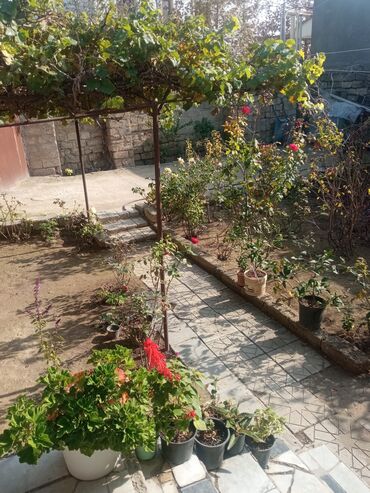 Otaqların uzunmüddətli kirayəsi: Satilir geniş və işıqlı otaq 2 otaq 1 zal metbex hamam ayaq yolu — 24