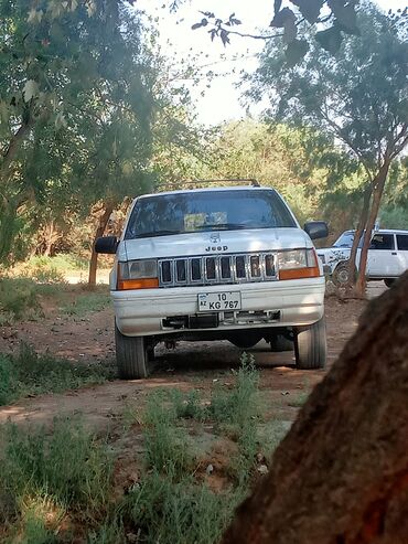 1к satışı: Jeep Grand Cherokee: 2.5 l | 1993 il | 123122315 km Ofrouder/SUV