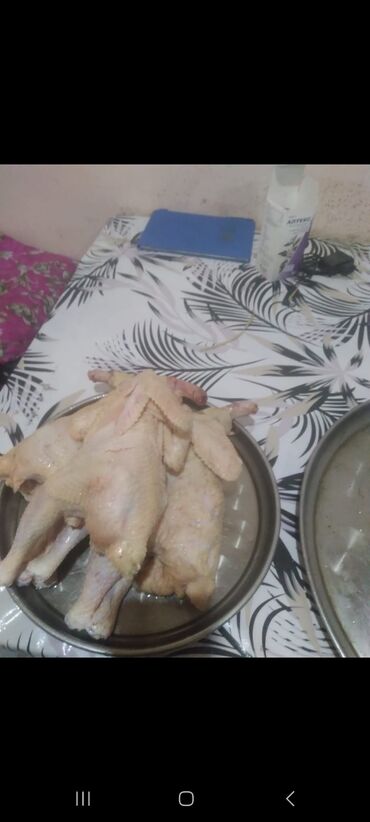 Toyuqlar: Toyuq, Liqorin, Yumurtalıq, Ünvandan götürmə -da lalafo.az — 8 Toyuqlar: Toyuq, Liqorin, Yumurtalıq, Ünvandan götürmə — 8