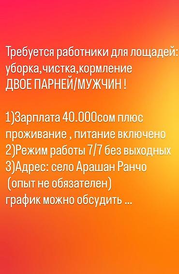 Вакансия: работники по уходу за лошадьми (2 человека) Обязанности: -