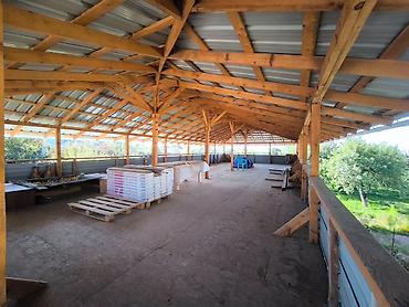 Продажа отелей и хостелов: Продается ухоженная усадьба с двумя домами и плодоносящим садом в — 20