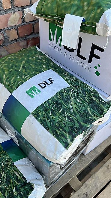 Газон: Семена европейского газона DLF (Дания) по оптовым ценам! ✅В наличии — 2