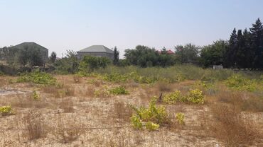 Torpaq sahələrinin satışı: 32 sot, Tikinti, Maklerlər narahat etməsin, Kupça (Çıxarış) — 10