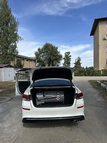 катализатор к 5: Kia K5: 2019 г., 2 л, Автомат, Газ, Седан — 6
