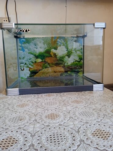 аквариум баку: Dördbucaq akvarium, Boş, 25 l, Ünvandan götürmə