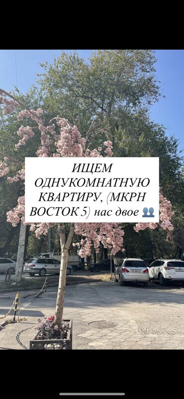 долгосрочная аренда квартир район бгу: 2КЫЗГА СРОЧНО КОМНАТА КЕРЕК. ВОСТОК 5 ТАРАПТАН (МНОГОЭТАЖНЫЙ ДОМДОН)