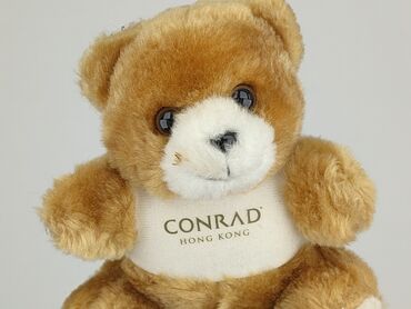 Mascot Teddy bear, condition - Very good