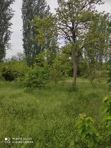 Həyət evləri və villaların satışı: 5 otaqlı, 100 kv. m, Kredit yoxdur, Təmirsiz — 8