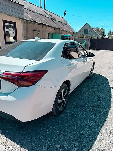 оборотный соко: Toyota Corolla: 2017 г., 1.8 л, Гибрид, Седан — 4