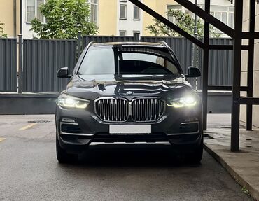 бантик на авто: BMW X5: 2019 г., 3 л, Автомат, Бензин, Внедорожник