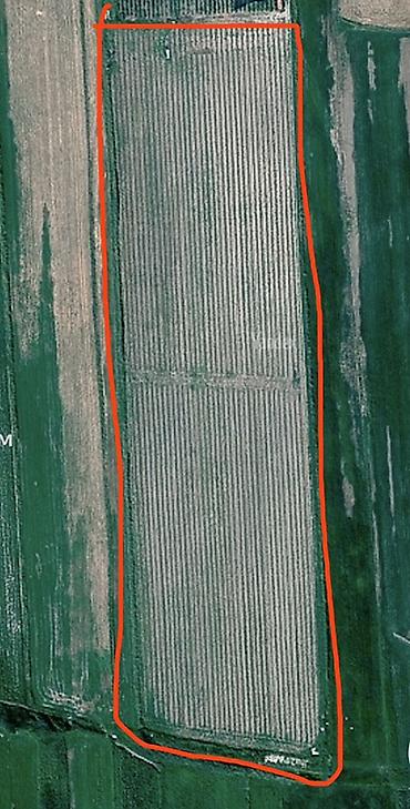 5 соток, Для сельского хозяйства, Договор купли-продажи at lalafo.kg 5 соток, Для сельского хозяйства, Договор купли-продажи