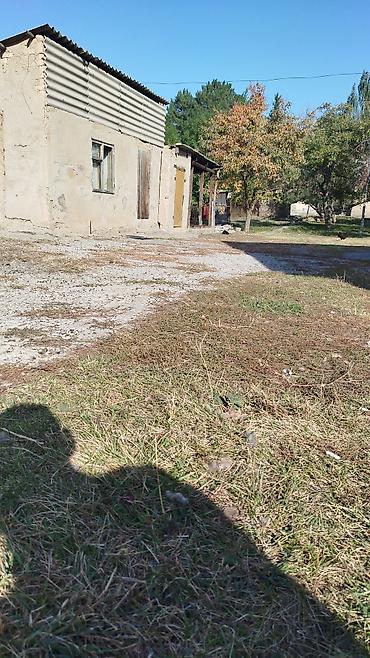 Аренда домов: Продаётся жилой дом с хозяйственными постройками и участком. Основные — 3