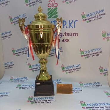 Статуэтки: ✅ Кубки спортивные ✅Бесплатная табличка ✅Бесплатный дизайн ✅Упаковка — 16