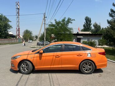 byd машина электромобиль: Hyundai Sonata: 2019 г., 2 л, Автоматтык, Газ, Седан