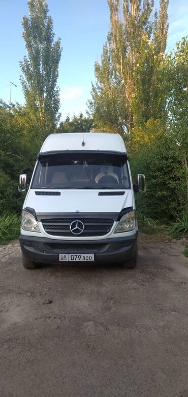 подножки на спринтер: Mercedes-Benz Sprinter: 2006 г., 2.2 л, Механика, Дизель, Бус