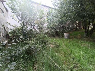 Torpaq sahələrinin satışı: 2 sot, Biznes üçün, Mülkiyyətçi — 5