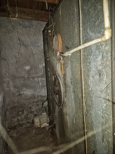 İnkubatorlar: 5000 yumurta, Bütün növ quşlaq üçün — 7