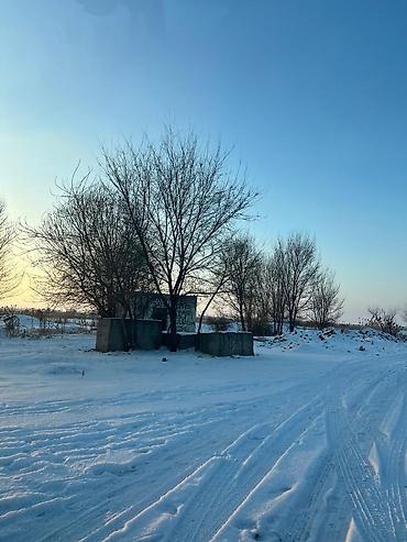 Аренда участков: 10003 соток Для бизнеса, Электричество — 9